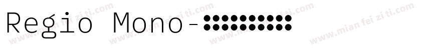 Regio Mono字体转换